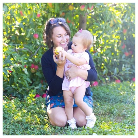 Apple Orchard