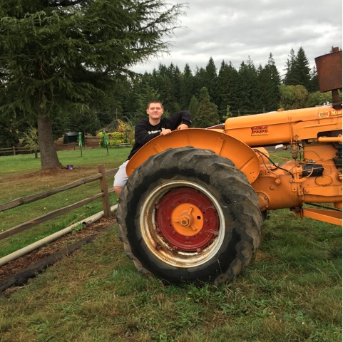 Pumpkin Patch