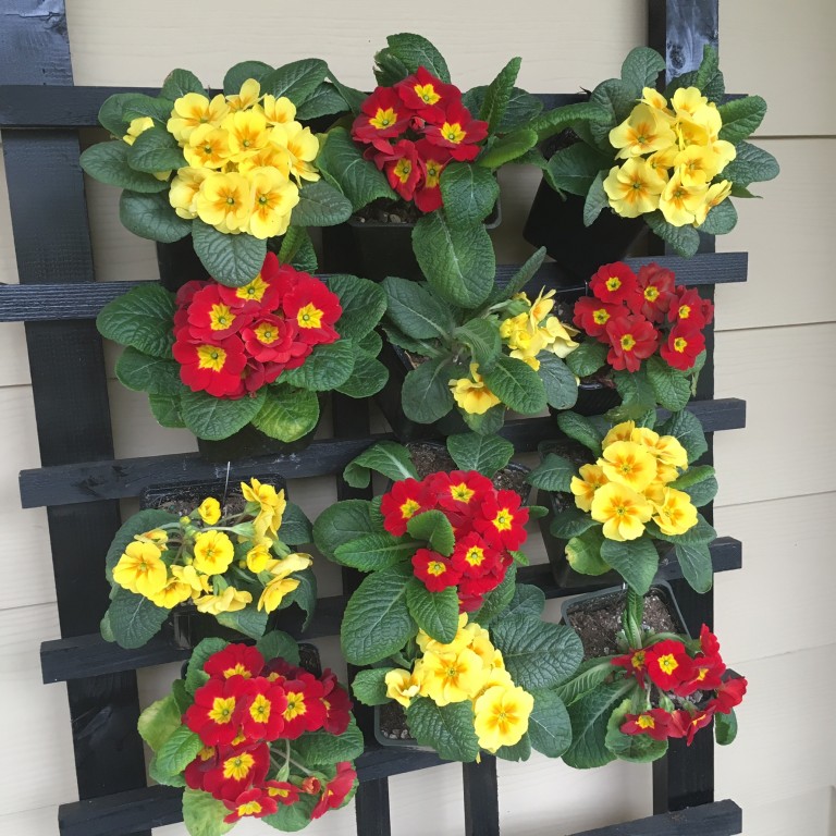 Spring Front Porch